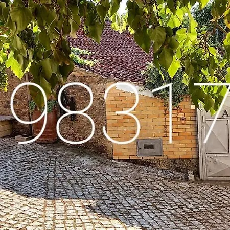 Adega Do Martinho Milhão